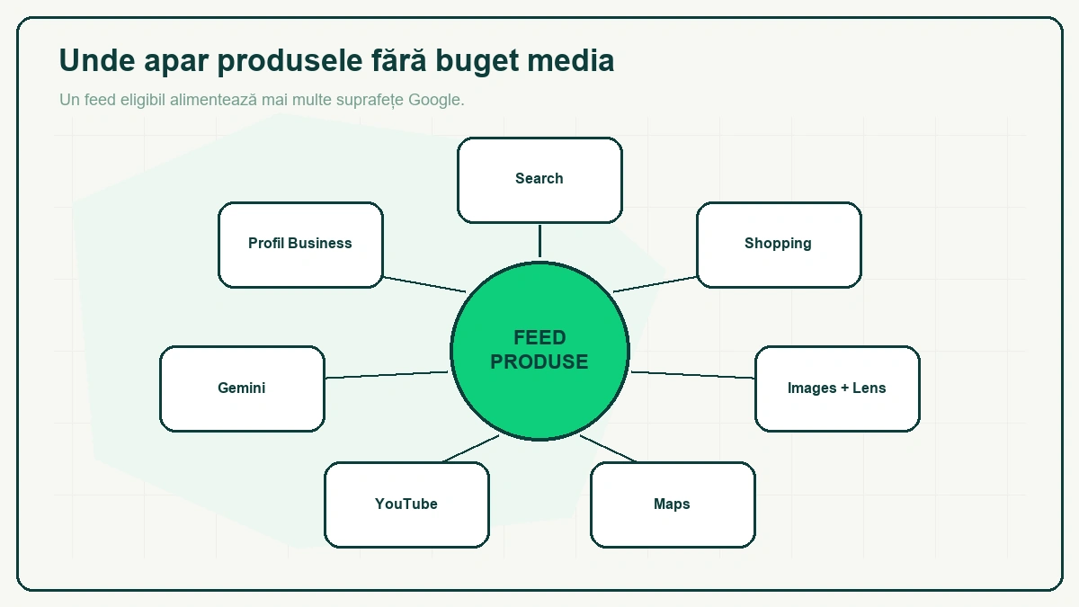 Diagramă radială cu „FEED PRODUSE" în centru și șapte suprafețe în jur: Search, Shopping, Images și Lens, Maps, YouTube, Gemini și Profil Business.