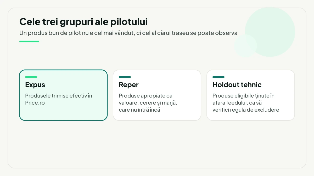 Cele trei grupuri ale pilotului Price.ro: expus, reper și holdout tehnic